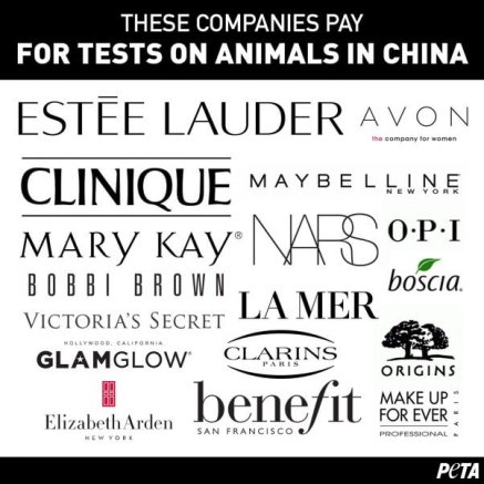 test on animals